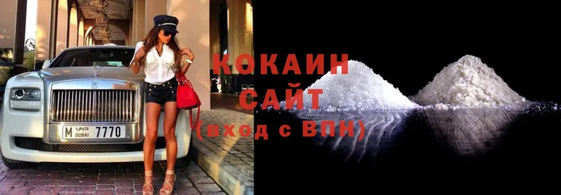 где купить наркотик  Вилюйск  hydra маркетплейс  Cocaine Fish Scale 